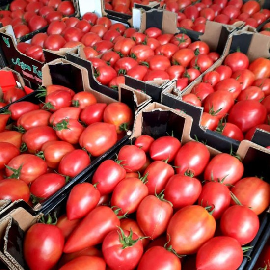 Pomidor malinowy Rugby F1