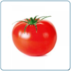Pomidor ALCESTE F1